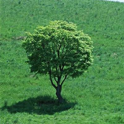 虚幻战场破解版下载